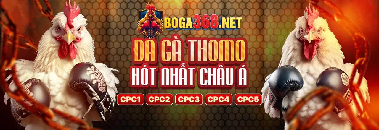 Sân đấu đá gà trực tuyến 888bet link mới với không khí sôi động